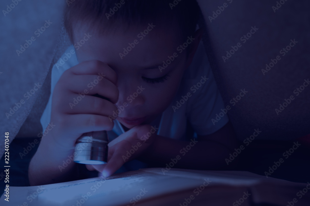 Yound kid reading interesting book at night with the help of flashlight. Adventure and secrets. Concept of reading an interesting and exciting book. Yound kid reading interesting book at night with the help of flashlight. Adventure and secrets. Concept of reading an interesting and exciting book.