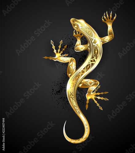 Golden patterned lizard photo