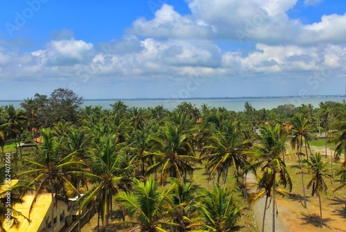 Wallpaper Mural OmarSDaba Torontodigital.ca