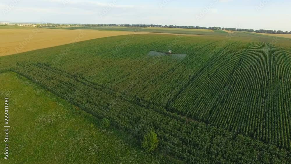 Aerial view of tractor spraying wheat field. 4K Aerial view of tractor spraying wheat field. 4K
