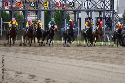 horse race in Japan photo