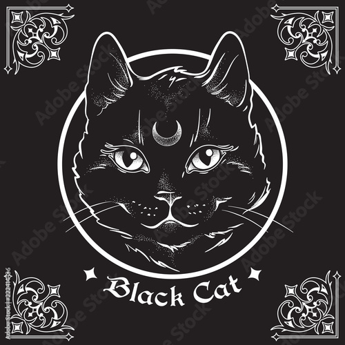 Hand drawn black cat with moon on his forehead in frame over black background and ornate gothic design elements. Wiccan familiar spirit, pagan witchcraft theme vector illustration.