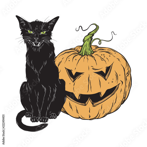 Black cat sitting with halloween pumpkin isolated over white background vector illustration. Witches familiar spirit animal, gothic style card or poster design.