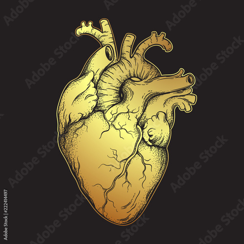 Human heart of gold. Anatomically correct hand drawn line art and dotwork flash tattoo or print design vector illustration.