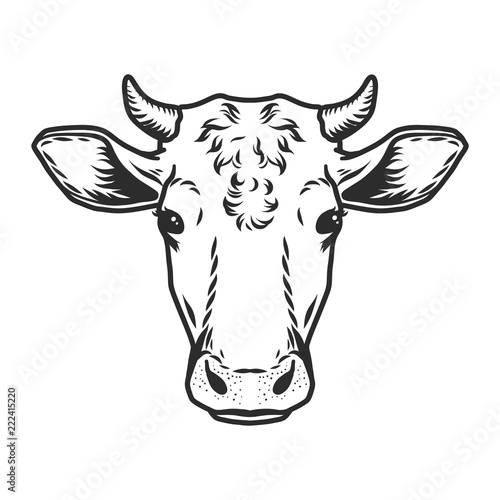 Cow head icon. Outline nand drawn illustration of cow head vector icon for web