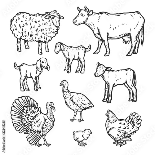 Farm animals detailed icon set. Outline nand drawn illustration of 9 farm animals detailed vector icons for web