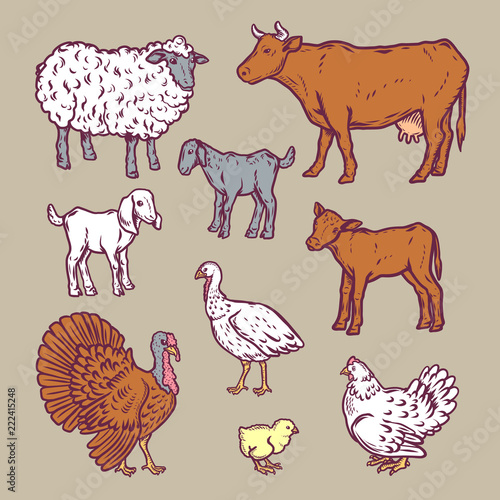 Fototapeta Naklejka Na Ścianę i Meble -  Farm animals detailed icon set. Cartoon illustration of 9 farm animals detailed vector icons for web