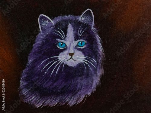 Obraz na płótnie Kot z purpurowym futerkiem przed brown tłem