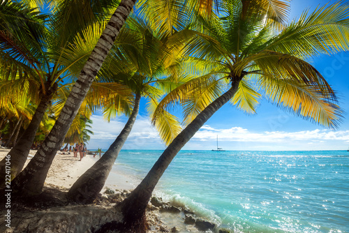 beach on Saona Island in the Caribbean