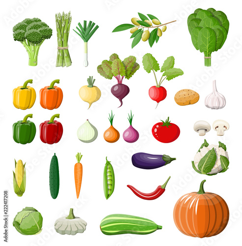 Big vegetable isolated icon set.