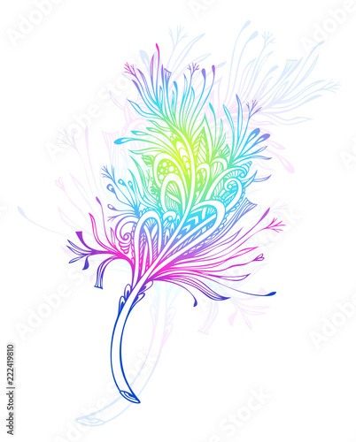 Decorative  Feather in Zen doodle or Zen tangle Boho style colorful for tattoo or decoration T shirt Bag or  bedclothes. Symbol of  lightness  elegance  grace. 