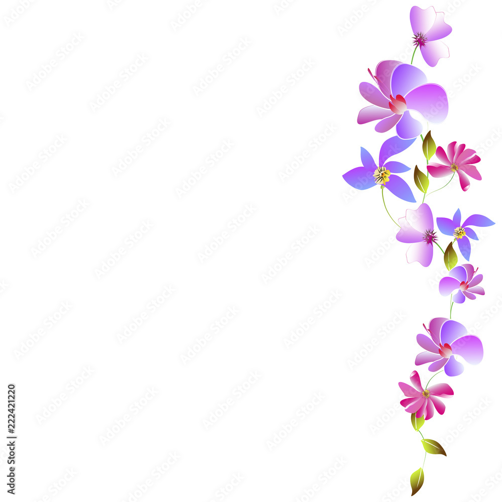 beautiful flowers beautiful flowers