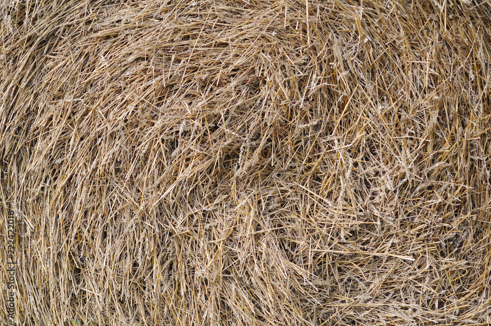 Скрученная солома