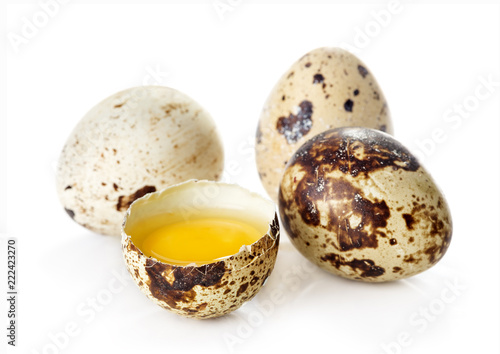 group of quail eggs