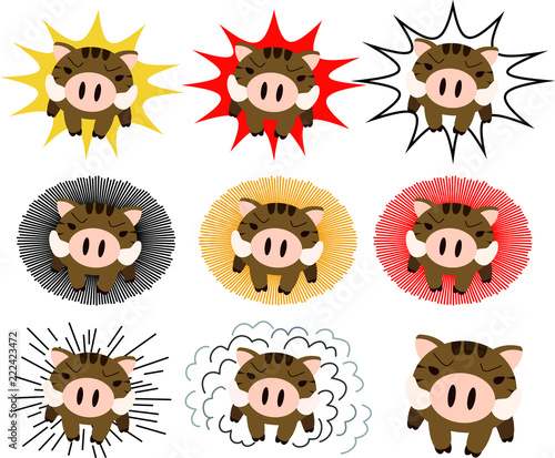 Powerful Wild boar to assault set