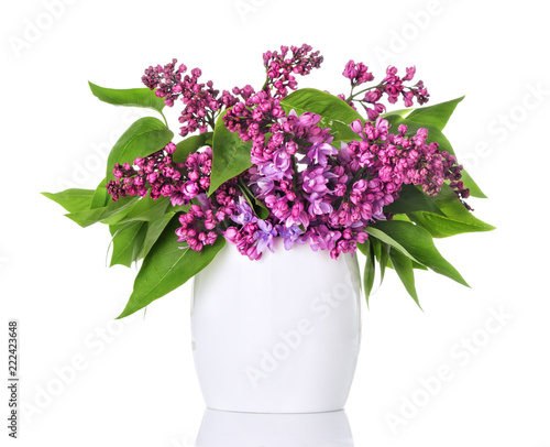 Lilac flowers in a white vase and isolated