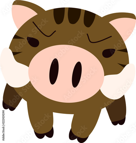 Powerful Wild boar to assault