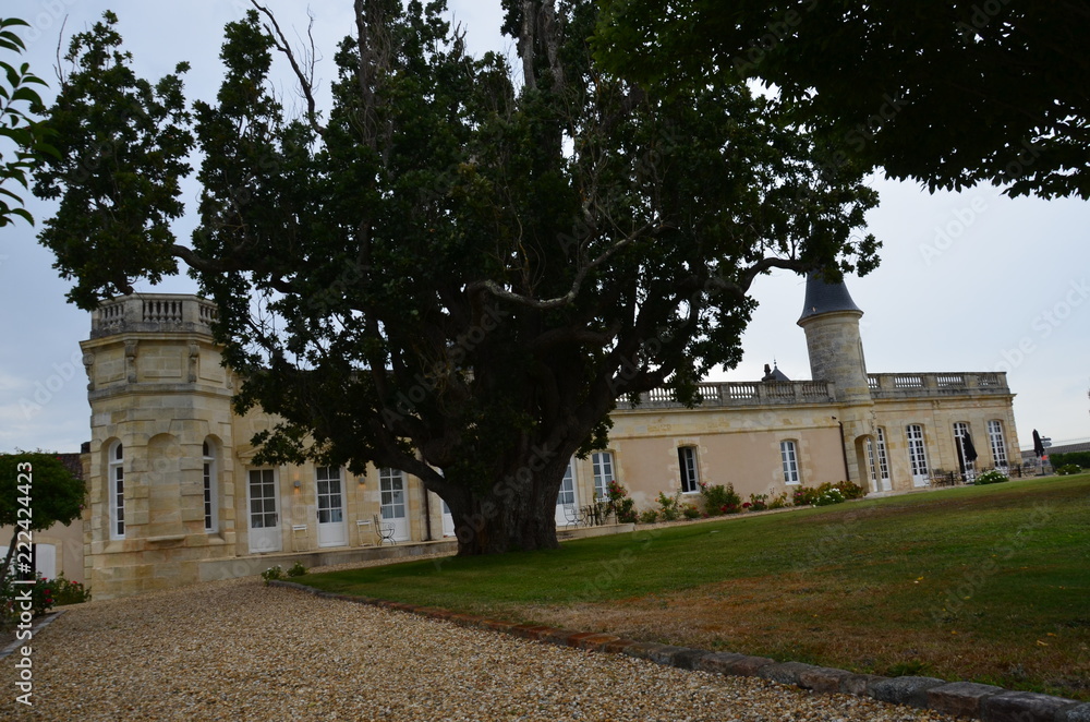 Paisajes del Medoc