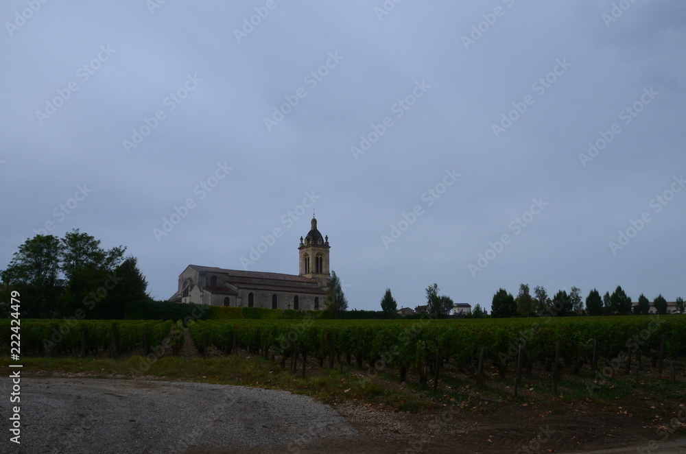 Fototapeta premium Paisajes del Medoc