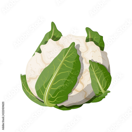 Cauliflower isolated on white background.