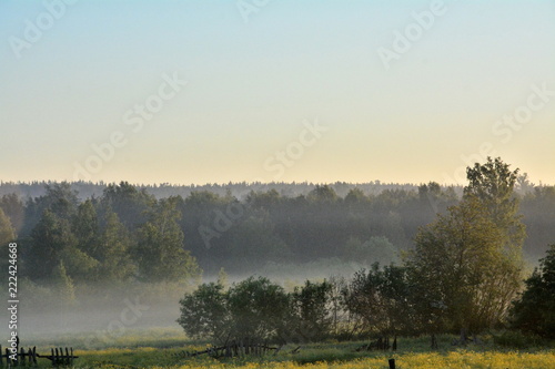 sunrising at nature