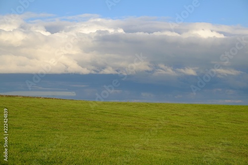 Champ vert et ciel nuageux