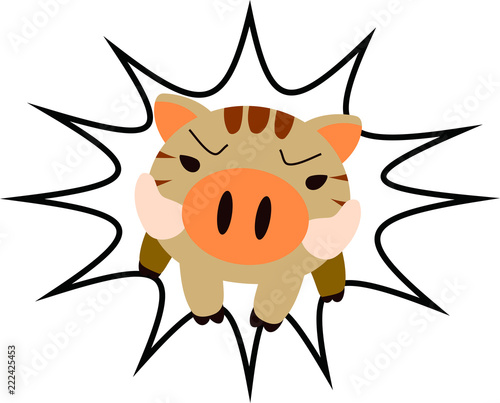 Powerful Wild boar to assault