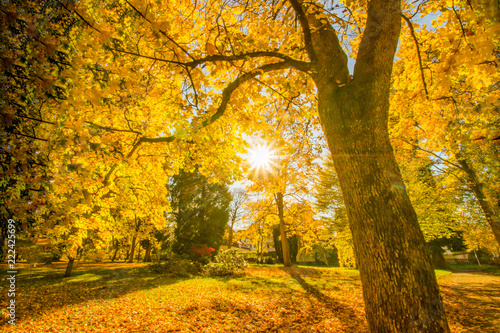 Wunderschöner bunter goldener Herbst