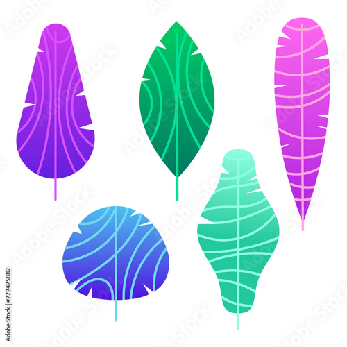 Vector colored illustration of the leaves of a tropical plant. Decorative exotic leaves of tropical trees. Floral elements for banners  flyers and labels