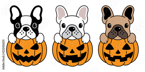 dog vector french bulldog pumpkin Halloween icon logo illustration symbol cartoon