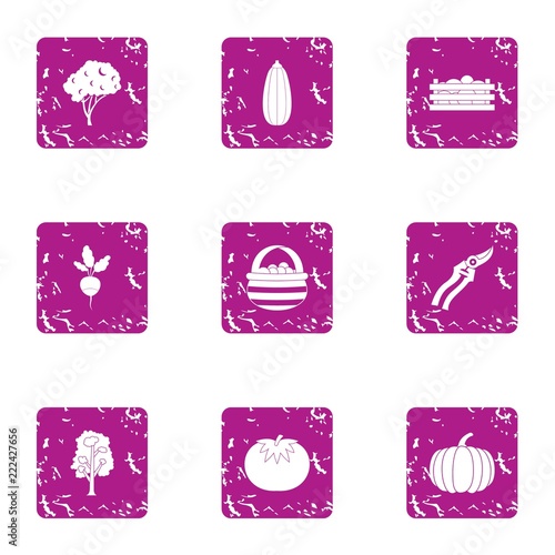 Treat shrub icons set. Grunge set of 9 treat shrub vector icons for web isolated on white background