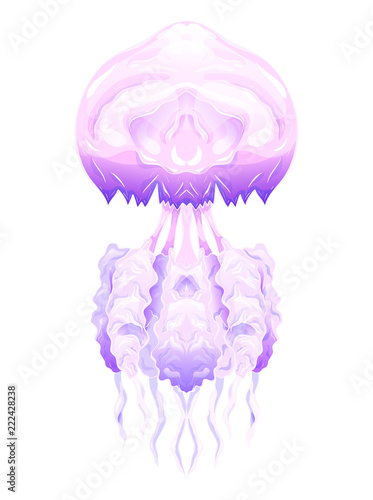 Colorful illustration of neon jellyfish. The object is separate from the background. Illustration for printing on T-shirts, covers, sketches of tattoos and your design.