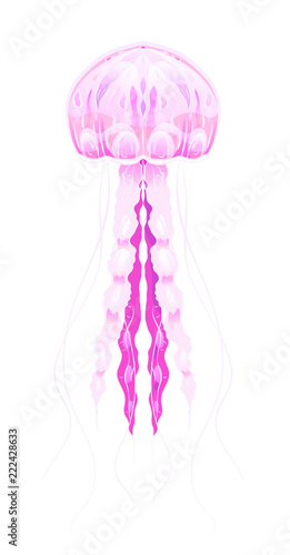 Colorful illustration of neon jellyfish. The object is separate from the background. Illustration for printing on T-shirts, covers, sketches of tattoos and your design.