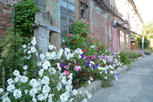 City flowers