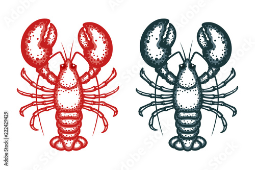 Lobster vector illustration. Crayfish on a white background. Vector seafood illustration