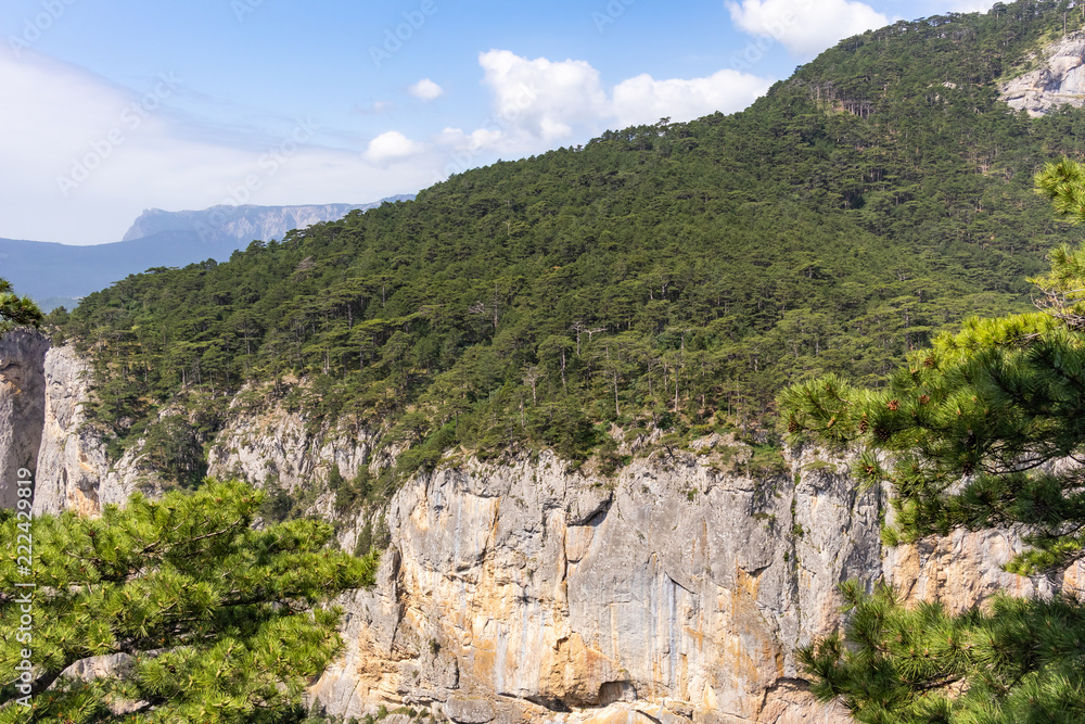 View of a high forest mountain with a steep cliff against the sky with clouds