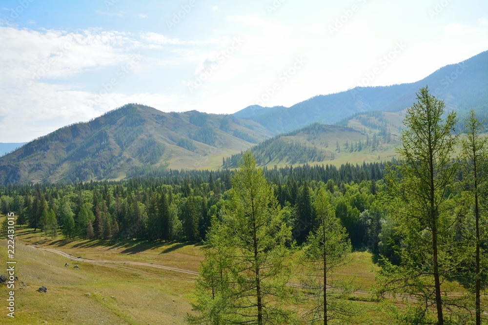 altai rivers and mountains