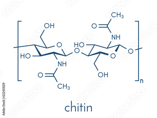 Chitin, chemical structure. Chitin is a polymer of N-acetylglucosamine and is present in the exoskeletons of insects, crustaceans, etc. Skeletal formula. photo