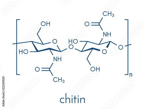 Chitin, chemical structure. Chitin is a polymer of N-acetylglucosamine and is present in the exoskeletons of insects, crustaceans, etc. Skeletal formula.