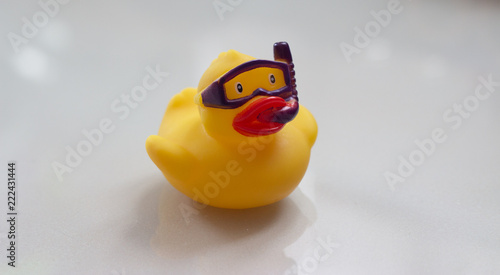 Fotografie rubber duck