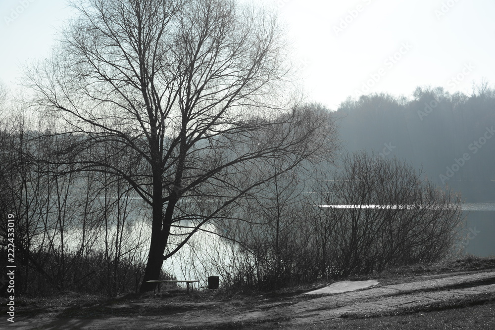 Fototapeta frozen blues