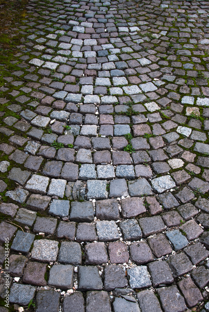 Fototapeta premium Rural street paved with stone