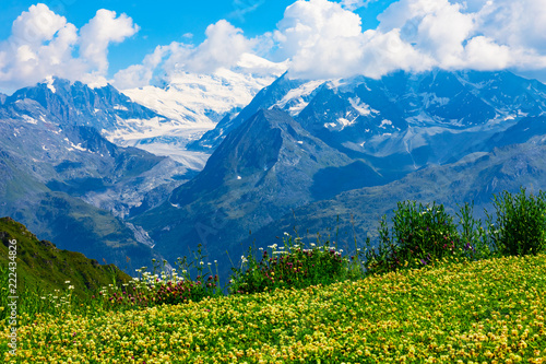 Mountain flower meadow in Alps, Switzerland