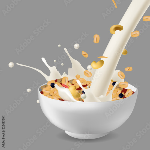 Vector realism style illustration muesli in bowl with nuts