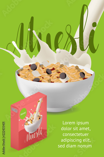 Vector realism style poster, site or banner template with illustration muesli in bowl