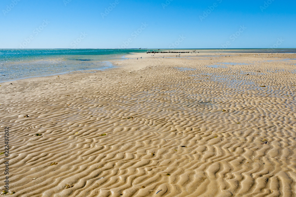 Sandbar in Monkey Mia - Western Australia Sandbar in Monkey Mia - Western Australia
