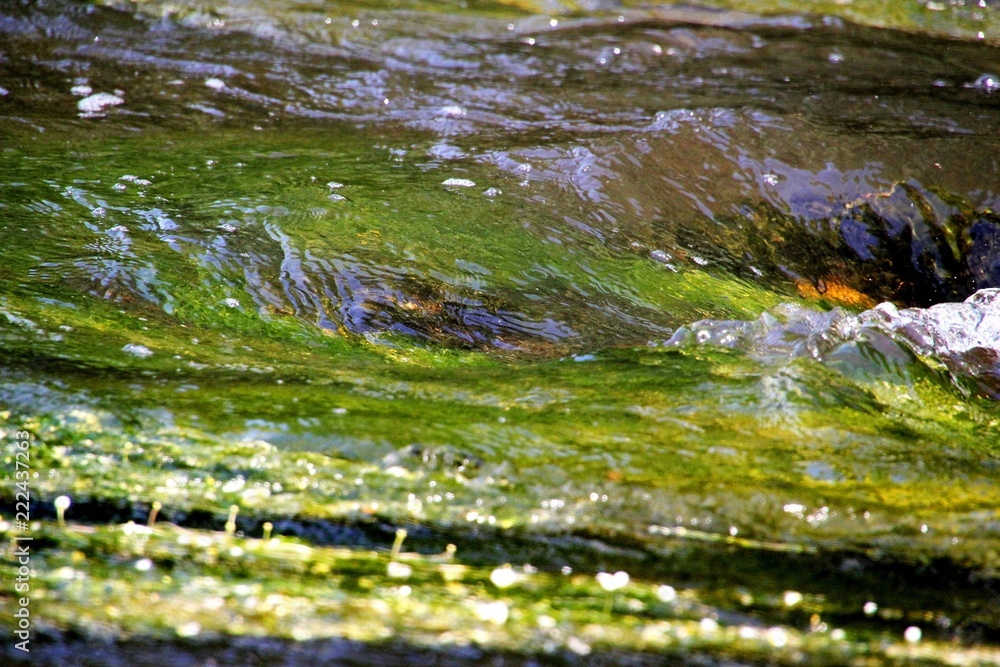 Naklejka premium surface de l'eau.