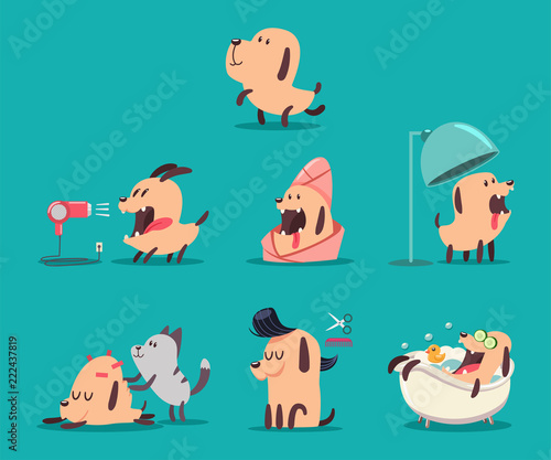 Dog beauty salon. Funny puppies character in the spa. Grooming vector cartoon set of cute pets isolated on background.