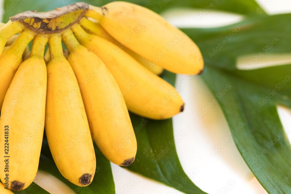 Fresh mini banana fruits on palm leaves