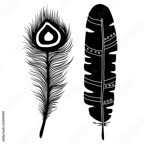 Feathers hand drawn